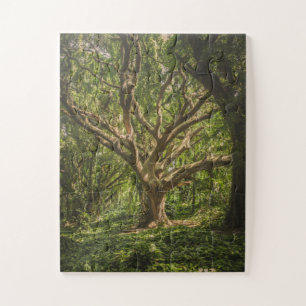 Big Old Ancient Tree in the Forest Jigsaw Puzzle