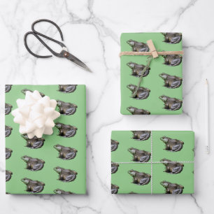 Big Old Bullfrog Animal Nature Wrapping Paper Sheet