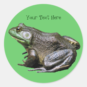 Big Old Bullfrog Animal Sticker