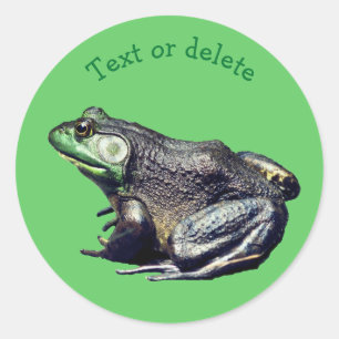 Big Old Bullfrog Nature Animal Personalised Classic Round Sticker
