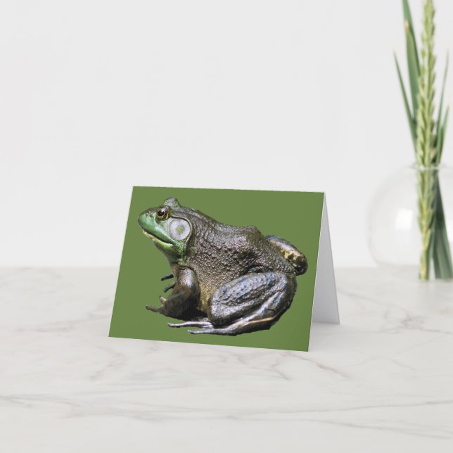 Big Old Bullfrog Nature Note Card (Front)