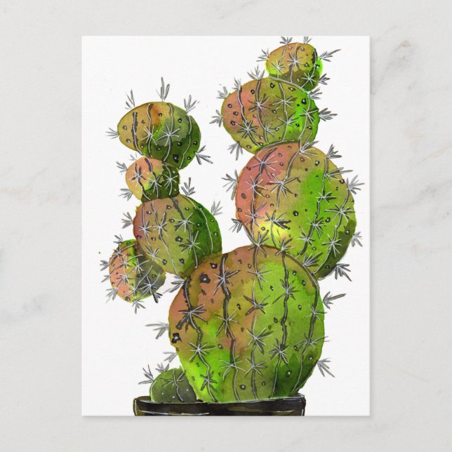 Big Old Stingy Cactus Postcard (Front)