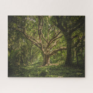 Big Old Tree in the Forest Jigsaw Puzzle