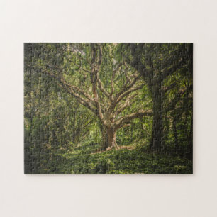 Big Old Tree in the Forest Jigsaw Puzzle
