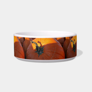 Big Orange Pumpkin Bowl