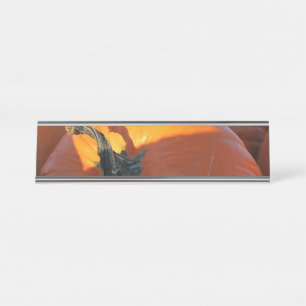 Big Orange Pumpkin Desk Name Plate
