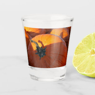 Big Orange Pumpkin Shot Glass