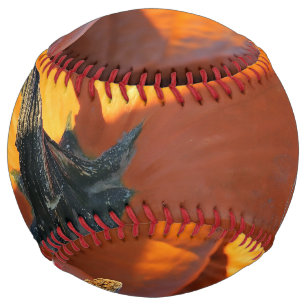 Big Orange Pumpkin Softball
