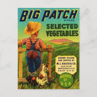 Big Patch Postcard