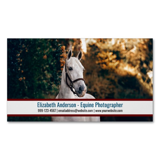 Big Photo Equine Photographer Business Card Magnet (Front)