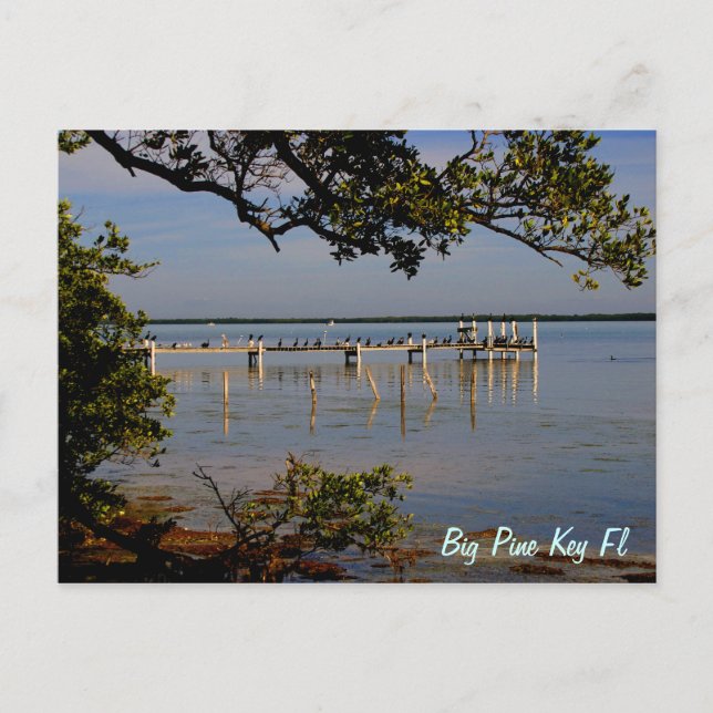 Big Pine Key Bird Dock Postcard (Front)