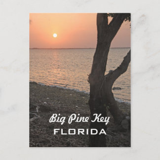 Big Pine Key Sunrise Postcard