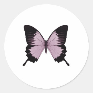Big Pink & Black Butterfly - Personalise Classic Round Sticker