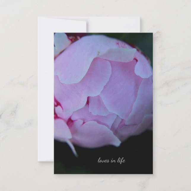 Big Pink Peony Bud Card (Front)