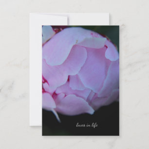 Big Pink Peony Bud Card