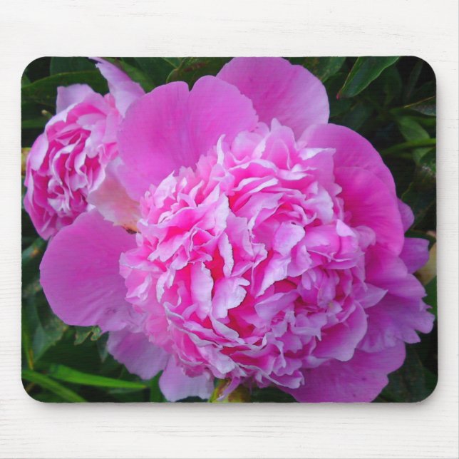 Big Pink Peony Mouse Mat (Front)