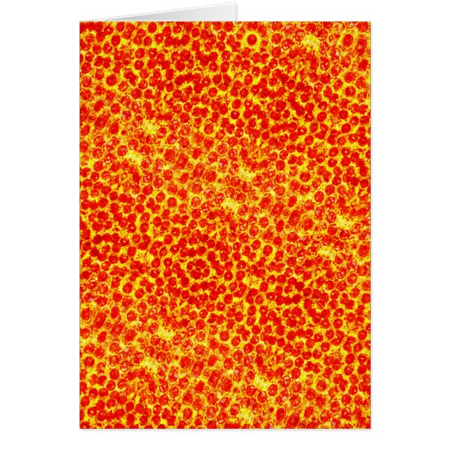 Big Pizza Pattern (Front)