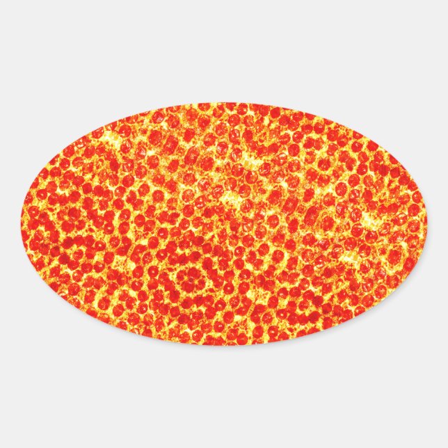 Big Pizza Pattern Oval Sticker (Front)