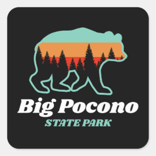 Big Pocono State Park PA Bear Retro Vintage  Square Sticker
