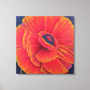 Big Poppy 2003 Canvas Print