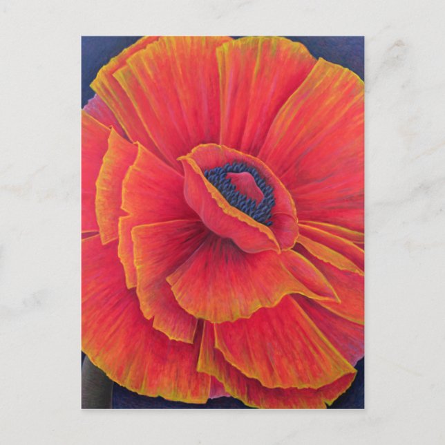 Big Poppy 2003 Postcard (Front)