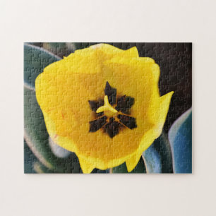 Big Pretty Yellow Tulip Flower Puzzle