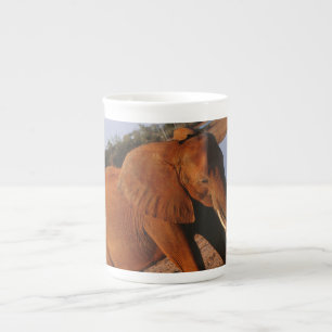 Big Red Bone China Mug