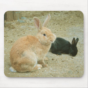 Big Red Bunny Mouse Mat