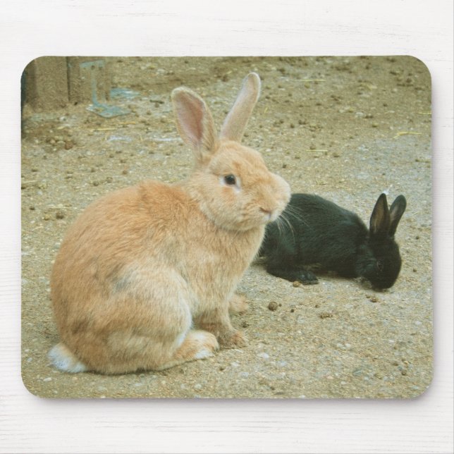 Big Red Bunny Mouse Mat (Front)