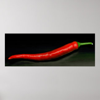 Big Red Chilli Print