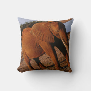 Big Red Cushion