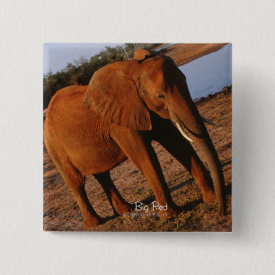 Big Red Elephant 15 Cm Square Badge