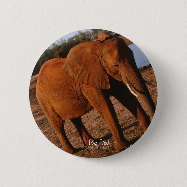 Big Red Elephant 6 Cm Round Badge (Front)