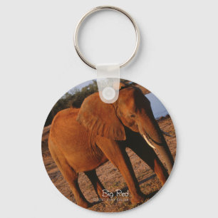 Big Red Elephant Key Ring
