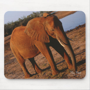 Big Red Elephant Mouse Mat