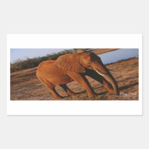 Big Red Elephant Stickers