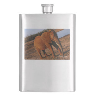 Big Red Hip Flask
