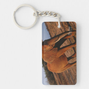 Big Red Key Ring