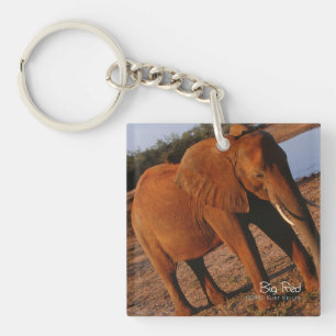 Big Red Key Ring