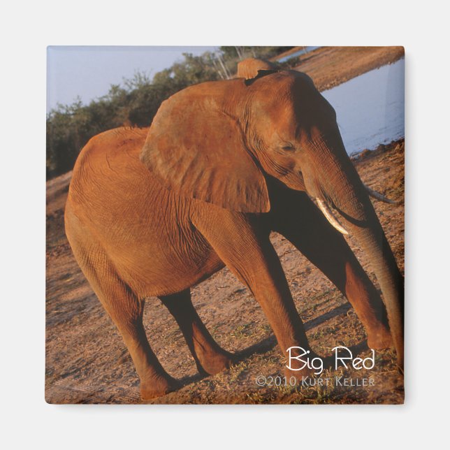 Big Red Magnet (Front)