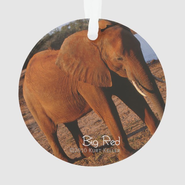 Big Red Ornament (Back)