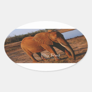 Big Red Oval Sticker