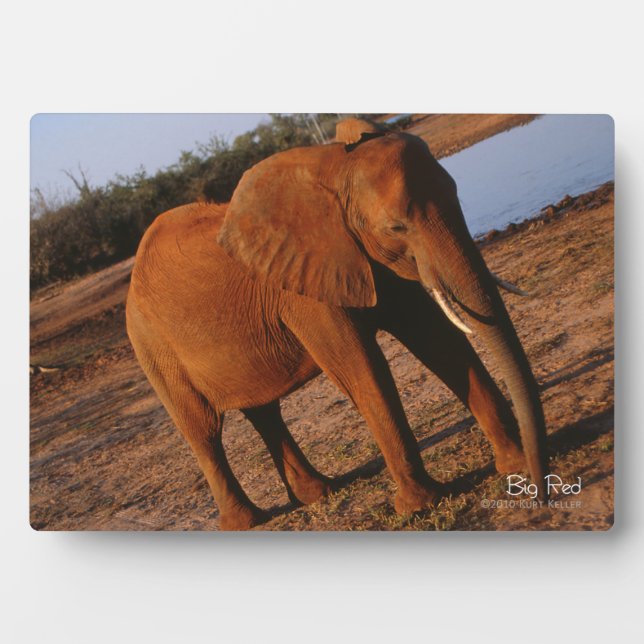 Big Red Plaque (Front)