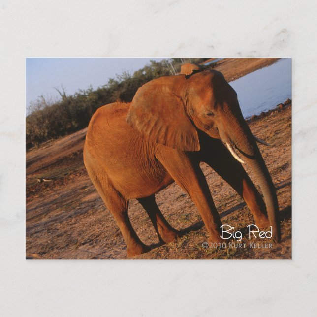 Big Red Postcard (Front)