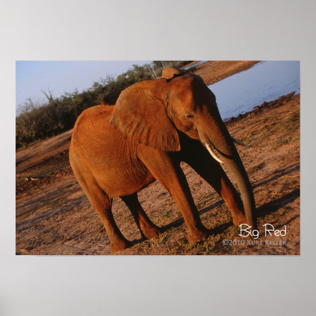 Big Red Poster (Front)