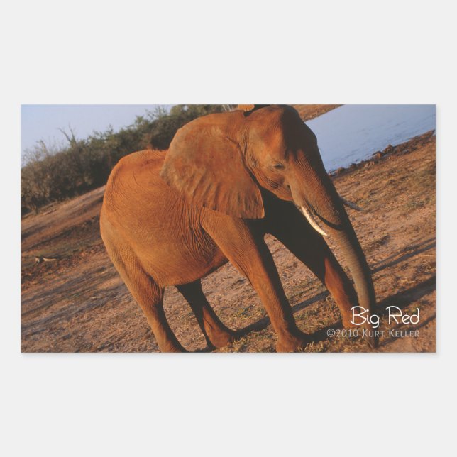 Big Red Rectangular Sticker (Front)