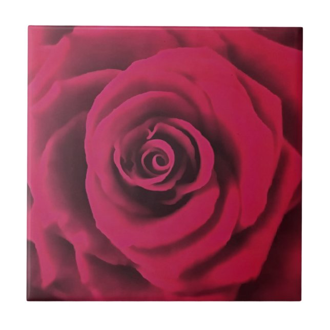 Big Red Rose Tile (Front)