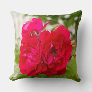 Big red roses in the garden cushion