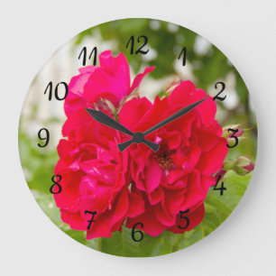 Big red roses in the garden large clock