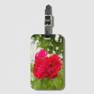 Big red roses in the garden   luggage tag